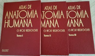 Atlas Anatomía Humana