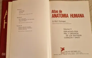 Atlas Anatomía Humana