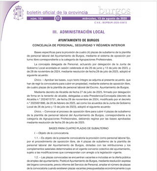 TEMARIO OPOSICIONES SUBALTERNO AYUNTAMIENTO BURGOS
