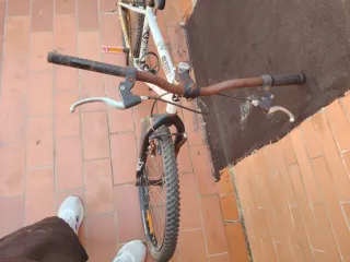 Bicicleta de Montaña Bottecchia