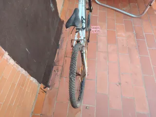 Bicicleta de Montaña Bottecchia
