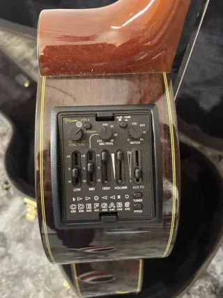 Guitarra Takamine TH90 Hirade