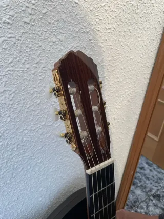 Guitarra Takamine TH90 Hirade