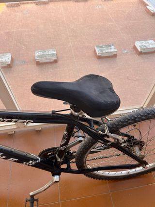 Bicicleta Montaña Globetrotter