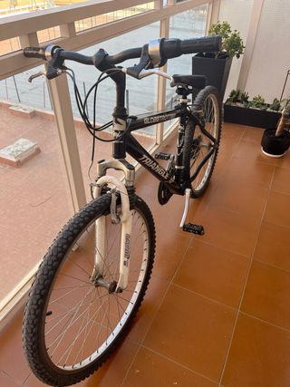Bicicleta Montaña Globetrotter