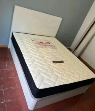 Liquidación Canapés y Colchones