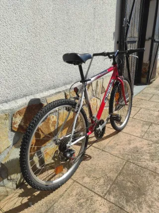 Bicicleta Orbea talla 19