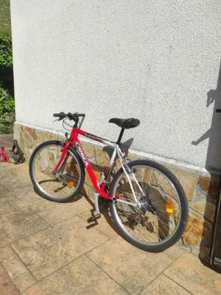 Bicicleta Orbea talla 19