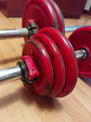 Conjunto Pesas y Mancuernas Salter