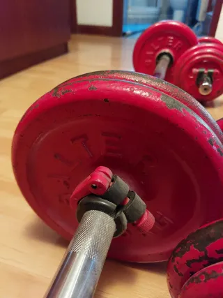 Conjunto Pesas y Mancuernas Salter