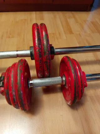 Conjunto Pesas y Mancuernas Salter