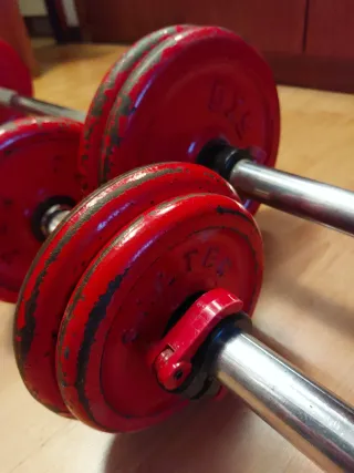 Conjunto Pesas y Mancuernas Salter