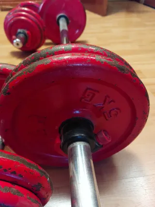 Conjunto Pesas y Mancuernas Salter