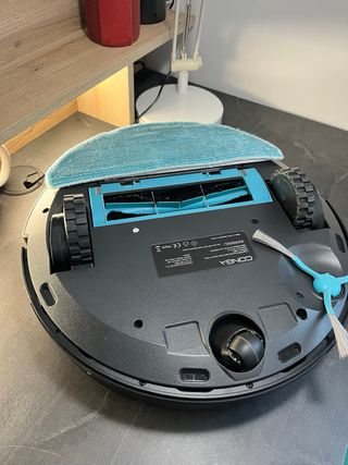 Conga 8290 Immortal Ultra Power Home X - Treme