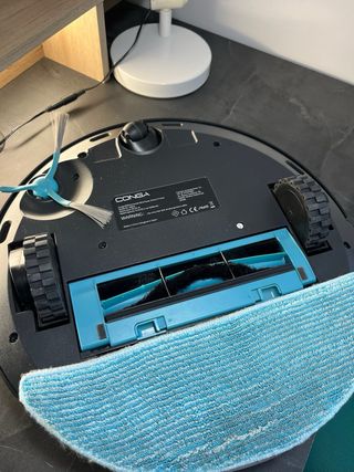 Conga 8290 Immortal Ultra Power Home X - Treme