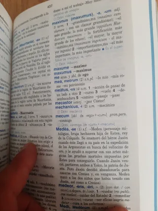 Diccionario español-latín SM