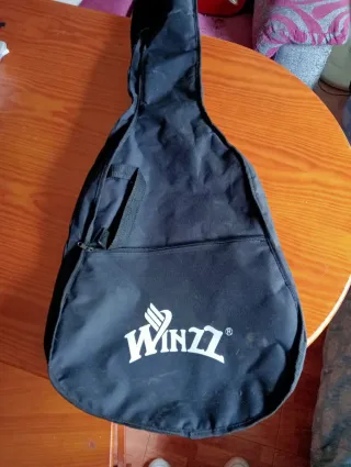 Guitarra Eléctrica para principiantes y funda