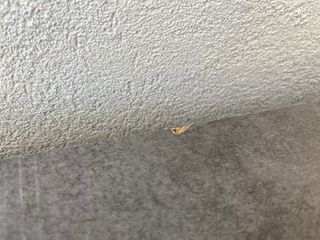 Encimera de cocina gris piedra