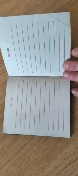 Manual Zelda Link's Awakening DX Game Boy Color