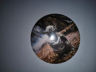 Chapa yoda star wars