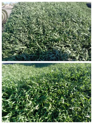 Césped artificial reciclado