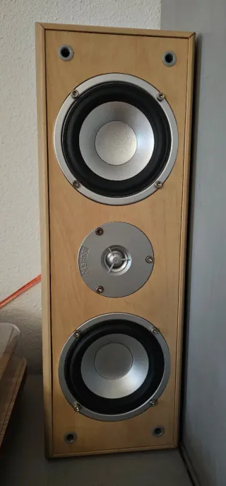Receptor AV Yamaha RX-V357 + Altavoces Magnat 5.1