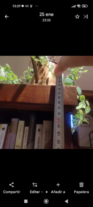 Estantería Castaño