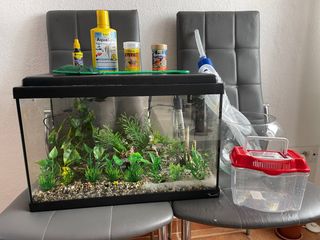 Pecera con accesorios
