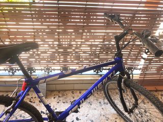 Bicicleta Montaña oxidada