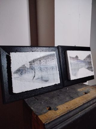 Coppia quadri tecnica stampa giapponese anni '90