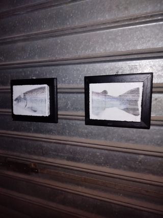 Coppia quadri tecnica stampa giapponese anni '90