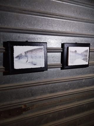 Coppia quadri tecnica stampa giapponese anni '90