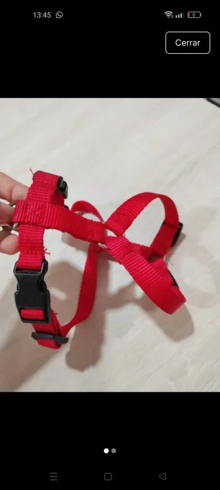 Arnés para mascotas Jarad Talla S