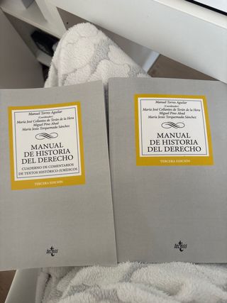 Manual De Historia Del Derecho