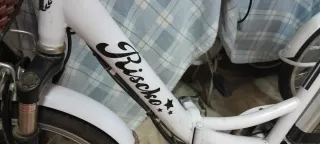 Triciclo Eléctrico para Adultos Riscko