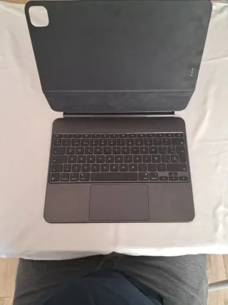 Teclado Apple Magic Keyboard 12.9 Modelo A2974 M4