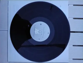 Lenny Kravitz Strut Vinilos