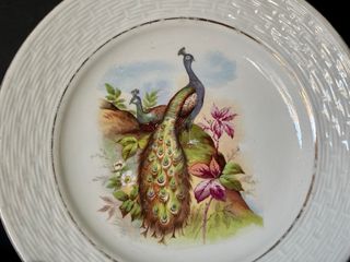 🇫🇷 6 Platos Postre Porcelana Ave