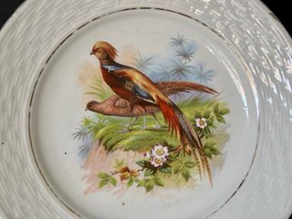 🇫🇷 6 Platos Postre Porcelana Ave