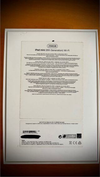 iPad mini 6 Starlight 256 GB