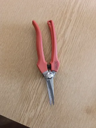 Tijeras de podar naranjas