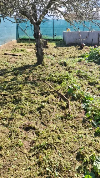 Ofrezco servicio de manitas