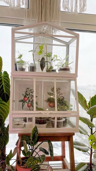 Vitrina de madera para plantas – Estilo invernader