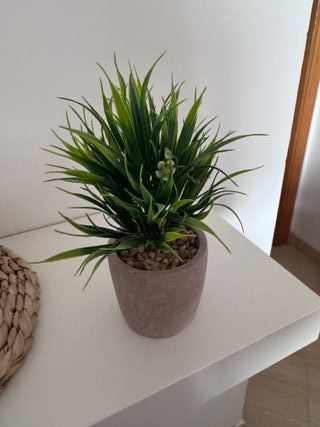 Plantas artificiales decorativas