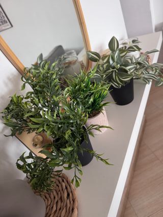 Plantas artificiales decorativas