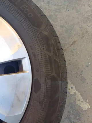 Volkswagen Caravelle 2024