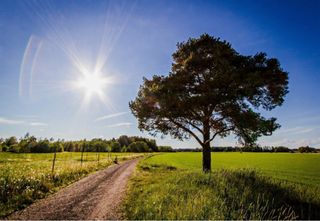 Compraría parcela rústica con escrituras