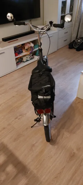 Bicicleta Eléctrica Plegable Orus IE1000