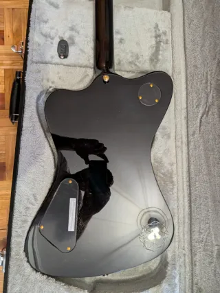 LTD Sparrowhawk Nueva