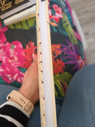 Historias del mundo de las hormigas